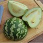 5 Seeds Citrullus lanatus var. citroides