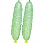40 Seeds Crisp White Cucumber with Spiky Vines