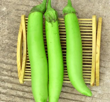 100 Seeds Elevate Your Garden with Emerald Long Eggplant