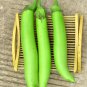100 Seeds Elevate Your Garden with Emerald Long Eggplant