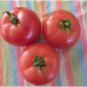 200 Seeds 'Fluffy Pink 802' Tomatoes