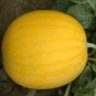 20 Seeds a'Golden Baby' Watermelon