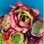 20 Seeds Greenovia diplocycla ex La Gomera