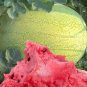 50 Seeds 'Green Emperor' Watermelon