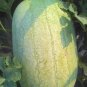 50 Seeds 'Green Emperor' Watermelon