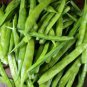 100 Seeds Guar (Cluster Beans) Easy to Seasons Meaningful Gift