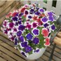200 Seeds Hanging Petunia Mixed