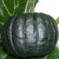 20 Seeds Japanese Black Pumpkin