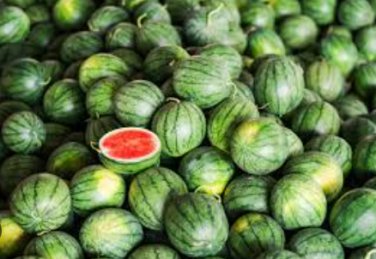 30 Seeds Lazy Melon King Watermelon Bonsai red Meat Garden Balcony Potted Fruit