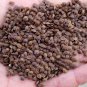 5 Seeds Milky-White Bok Bhoy