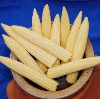 250 Seeds Mini Baby Sweet Corn Vegetable Poporn