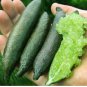 20 Seedsw Novel Finger Limes Citrus Pomegranate Bonsai Delicious Sweet Fruit Bonsai