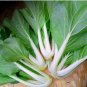 3000 Seeds Pak Choi White Stem Chinese Cabbage