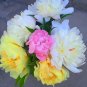 20 Seeds Peony Premium Collection for Stunning Blooms, Mixed 'Sanmao'