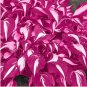 150 Seeds Rare Hosta White Leaves with Thick Red Edges