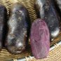 100 Seeds Russian Banana Fingerling Potato Bonsa Organic