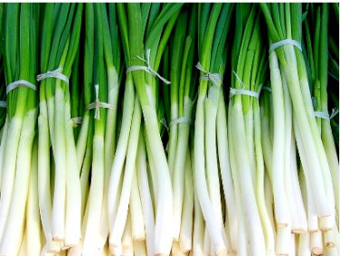 5 Seeds Seasonal Scallion