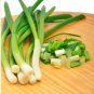 5 Seeds Seasonal Scallion