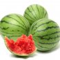 50 Seeds Series Bonsai Watermelon