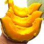 20 Seeds Silver Chestnut Pumpkin Hybrid