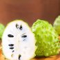5 Seeds Soursop