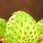 5 Seeds Soursop