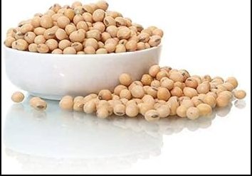 100 Seeds Soybean