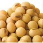 100 Seeds Soybean