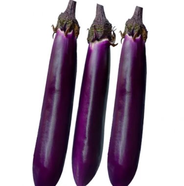 400 Seeds Spring-Summer Eggplant Thick-Fleshed, Purple-Red Variety