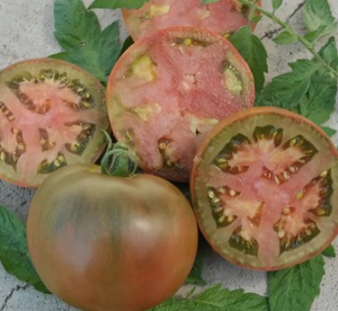 ' 100 Seeds Strawberry Fruit' Tomatoes - Perfectly Balanced Flavor