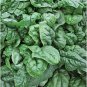 10 Seeds Swift No.9 Spinach