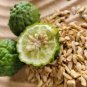 30 Seeds Thai Kaffir Lime