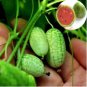 100 Seeds thumb watermelon eat raw mini fruit small watermelon