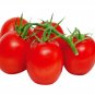 200 Seeds Top-Performing Salad Tomatoes