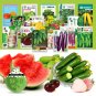 16 Seeds Vegetable, Fruit, Melon, and Tomato Combo