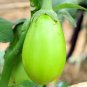 300 Seeds Xi'an Green Allure Unveiling the Green Eggplant