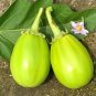 300 Seeds Xi'an Green Allure Unveiling the Green Eggplant