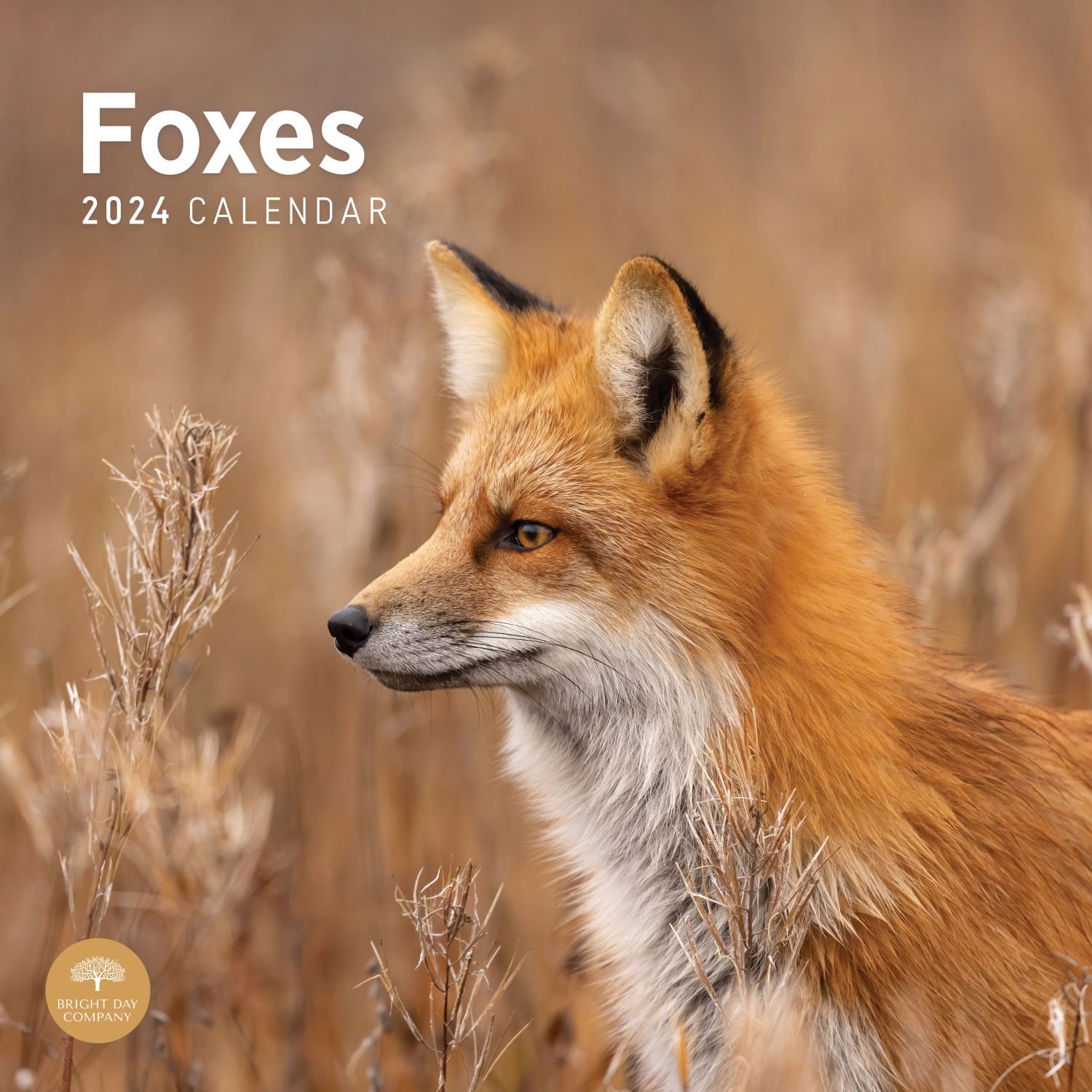 Foxes 2024 Wall Calendar   656173dd4b7fd 563276b 