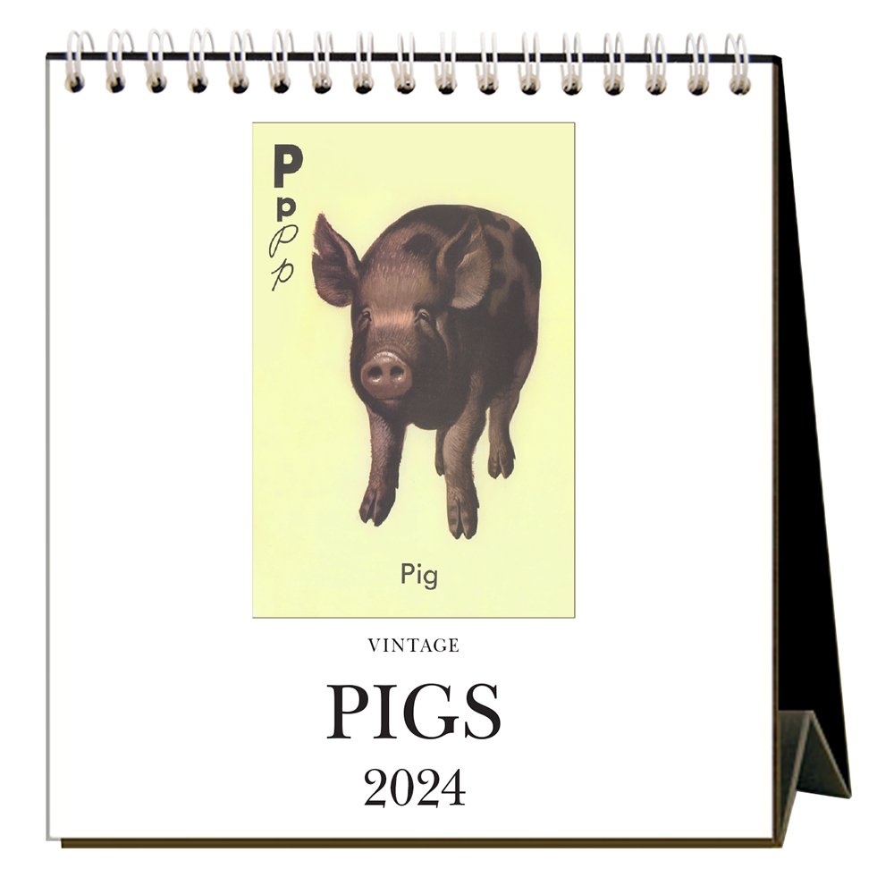 Pigs 2024 Easel Desk Calendar