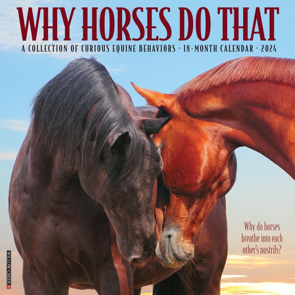 Why Horses Do That 2024 Wall Calendar   65619b15349a4 563276b 