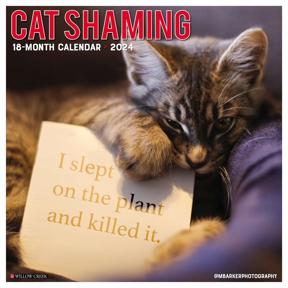 cat-shaming-2024-wall-calendar