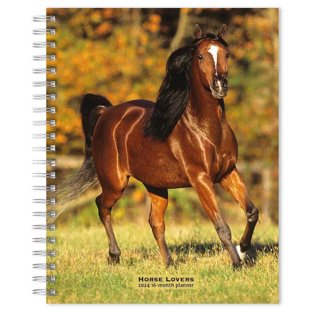 Horses 2024 Planner   65633ca77f920 563276b 