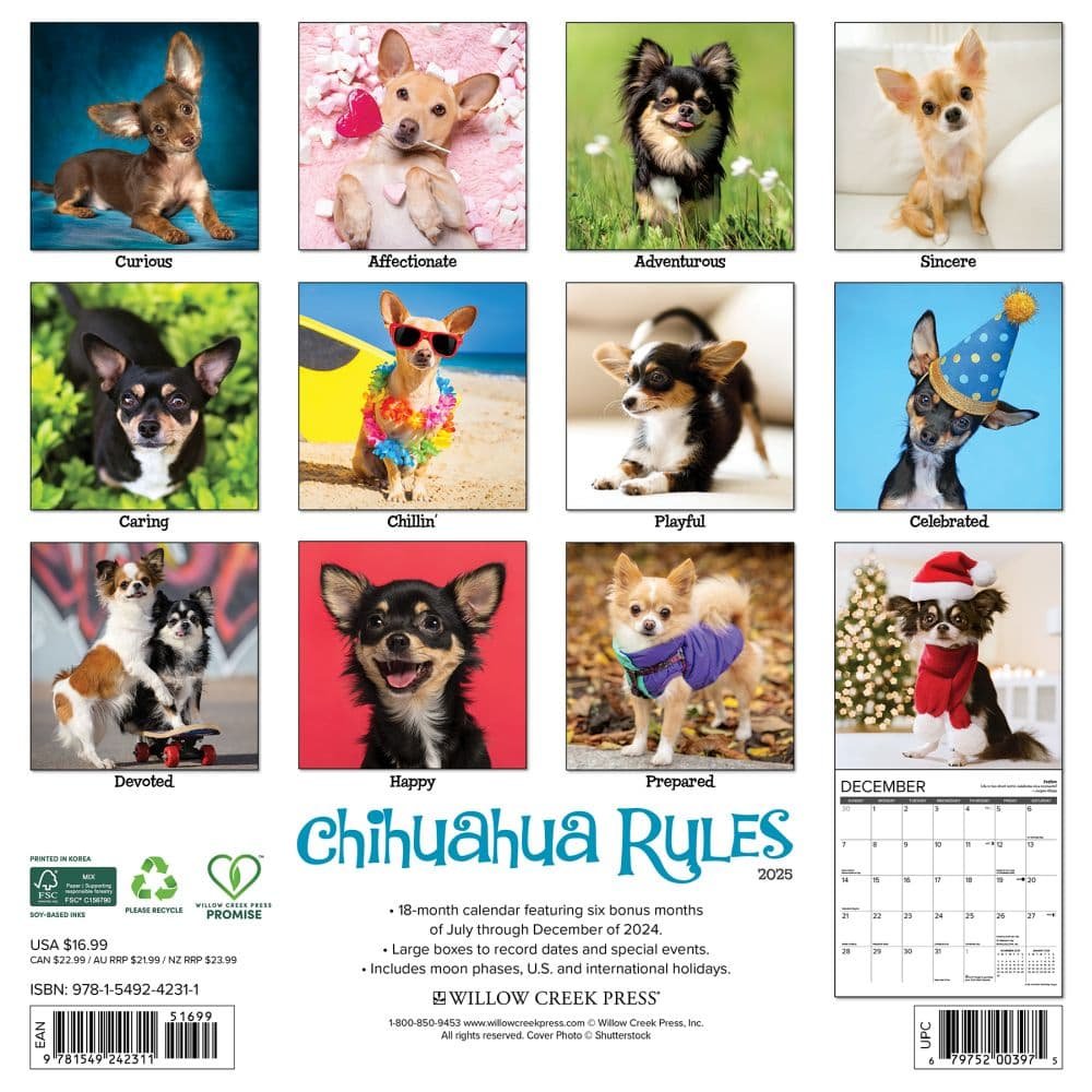 Chihuahua Rules 2025 Wall Calendar