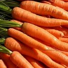 2000 Seeds Carrot- Little Fingers