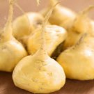 25 Seeds Maca-( Lepidium Meyenii Maca)