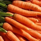 200 Seeds Carrot- Little Fingers