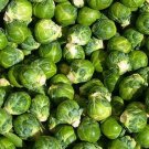 100 seeds Brussel Sprouts-