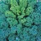 200 Seeds Kale- Vates blue curled