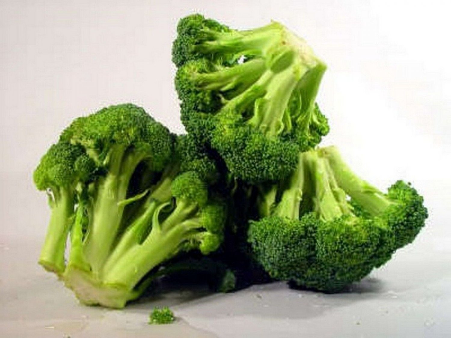 100 seeds Broccoli- Early Fall Rapini