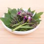 10 Seeds Comfrey